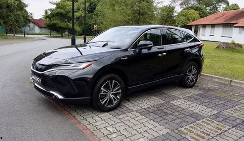 日韩吃瓜 第4页